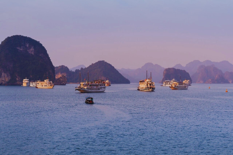 Halong Bay cruises sailing at sunset with golden sky – Auasia Travel